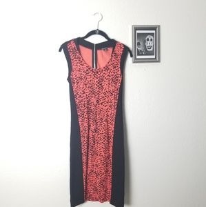 Kenneth Cole NY Black Animal Print Dress 2